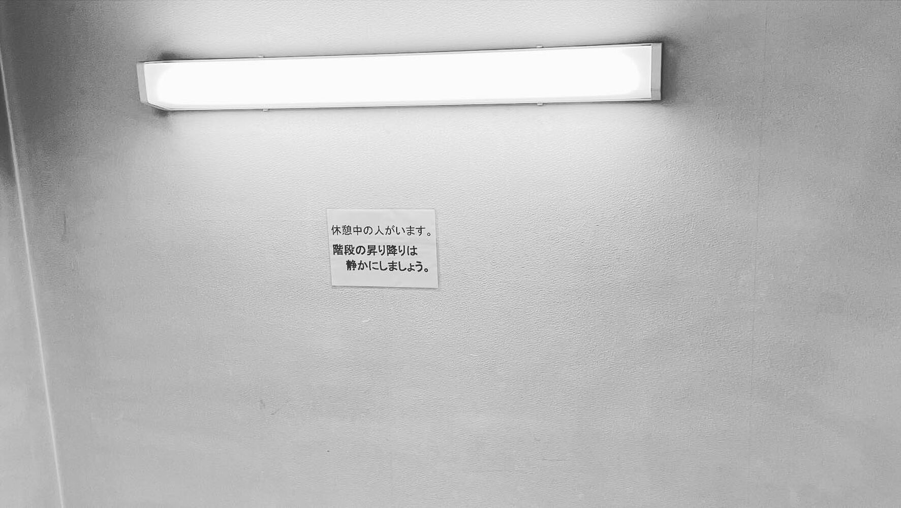 画像1365