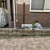 画像1701