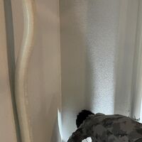 画像1703