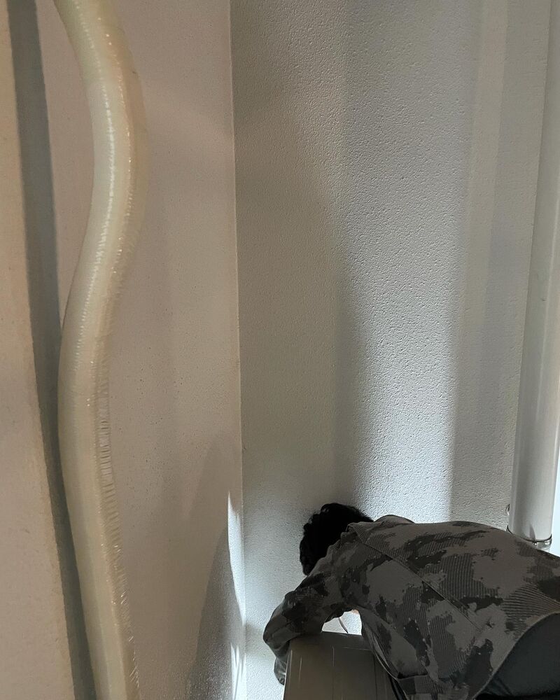 画像1703