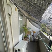 画像2079