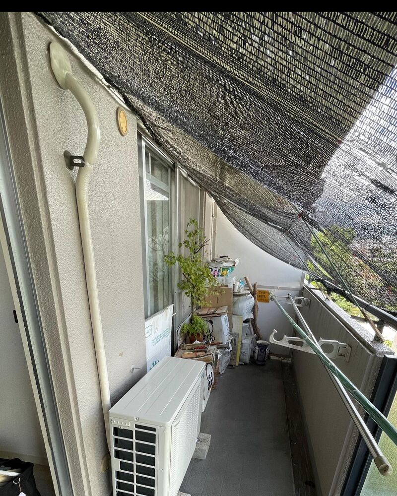 画像2079